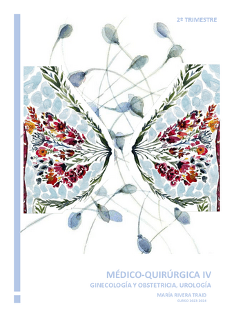 MQ-IV-Maria-Rivera.pdf