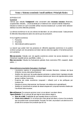 Tema-1-Sistema-economic-i-medi-ambient.-Principis-basics.pdf