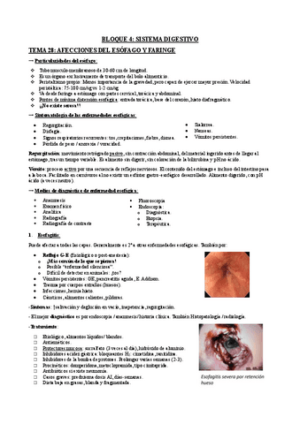 Bloque-digestivo.pdf