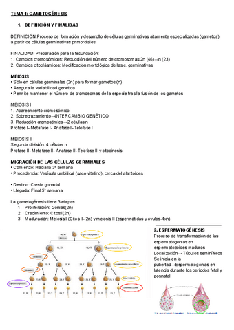 EMBRIOLOGIA-temas-1-y-2.pdf