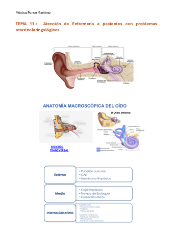 Resumenes-otorrinolaringologia-1er-parcial-Clinica-II-y-Salud-Mental.pdf