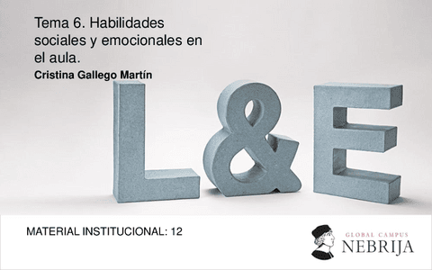 PPT-Tema-6.-HHSS.pdf