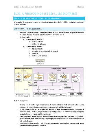 Tema-2.1.-La-neurona-el-potencial-de-membrana.pdf