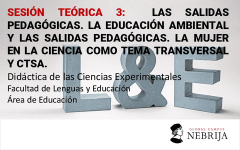Sesion-teorica-3-Transversalidad.pdf