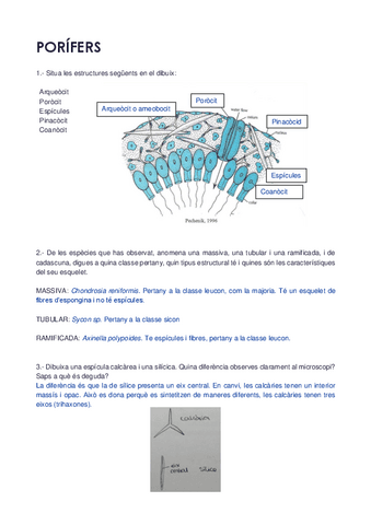 questionari-de-totes-practiques.pdf