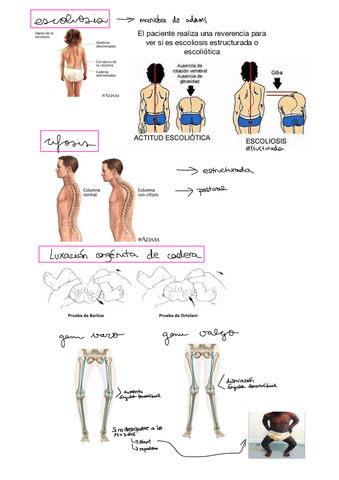 Pediatria-Patologica.pdf