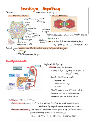 fisiologia-hepatica.pdf