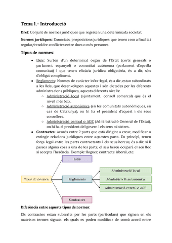 Apunts-top-introduccio-al-dret-grup-B.pdf