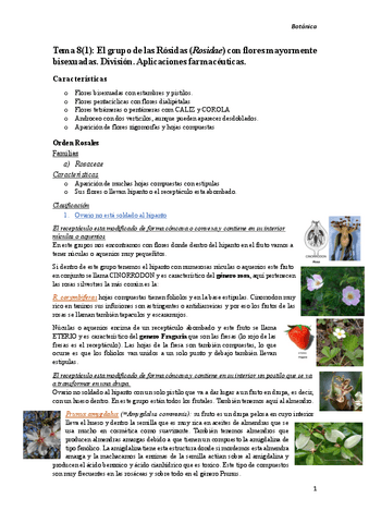 Tema-8Grupo-de-las-rosidas.pdf