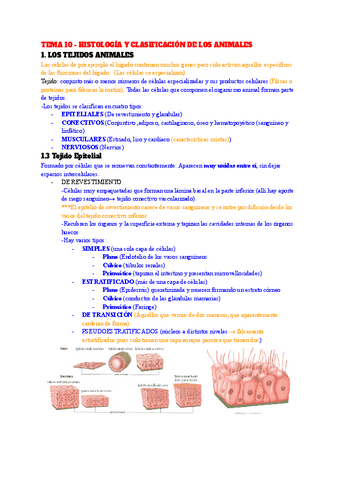 TEMA-10-HISTOLOGIA-Y-CLASIFICACION-DE-LOS-ANIMALES.pdf