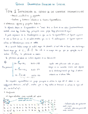 Apuntes de Química Organometálica.pdf