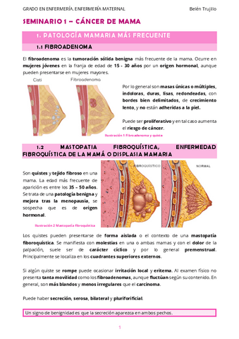 MATERNO-Seminario1-CancerMama.pdf