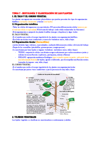 TEMA-7-HISTOLOGIA-Y-CLASIFICACION-DE-LAS-PLANTAS.pdf