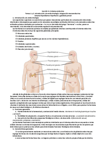 Seccion-VI.-El-sistema-endocrino.pdf