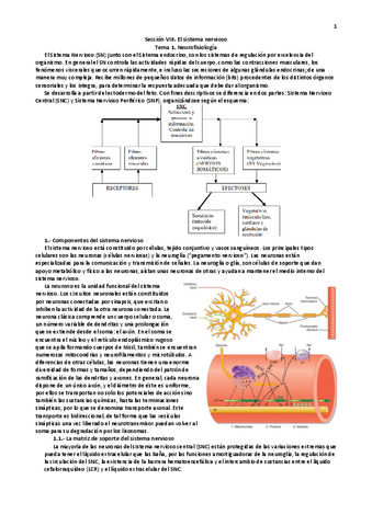 Seccion-VIII.-El-sistema-nervioso.pdf