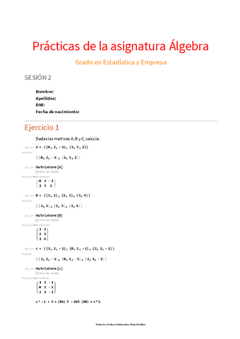 Practica-2-algebra.pdf