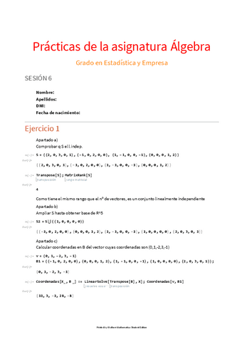 Practica-6-algebra.pdf