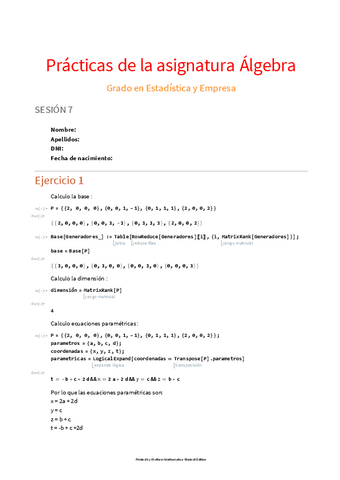 Practica-7-algebra.pdf