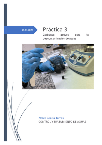 Prqactica-3-CARBONES-ACTIVOS-COMO-AGENTES-DESCONTAMINANTES-DE-AGUAS.pdf