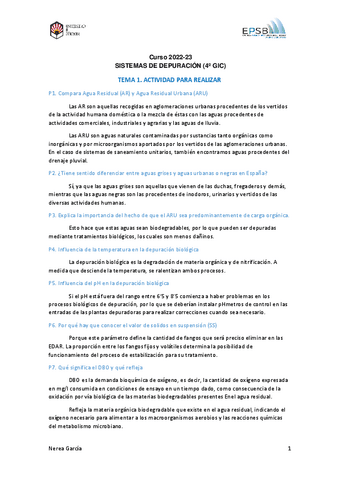 Actividad-1Tema-1Definiciones.pdf