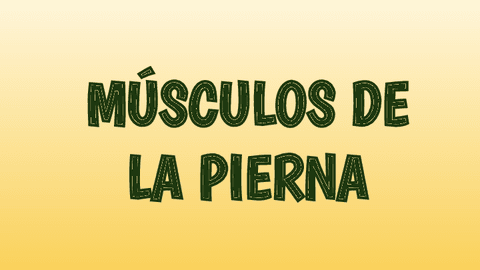 Musculos-de-la-pierna.pdf