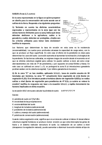 EXAMEN-SUELOS-GRN.pdf
