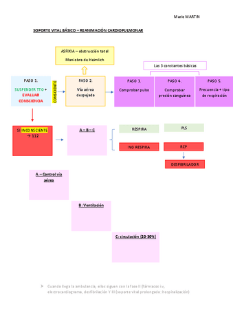 t3-SOPORTE-VITAL-BASICO.pdf