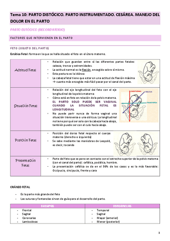 Tema-10-cuidados-a-la-madre-y-al-nino.pdf