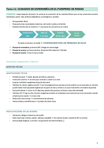 Tema-11-cuidados-a-la-madre-y-al-nino.pdf