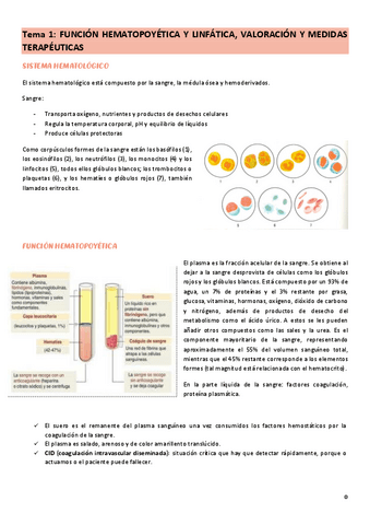 tema-1-cuidados-del-adulto-II.pdf