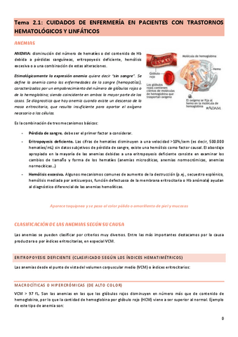 tema-2.1-cuidados-del-adulto-II.pdf