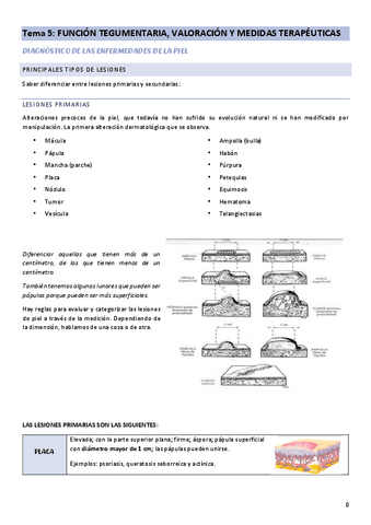 tema-5-cuidados-del-adulto-II.pdf