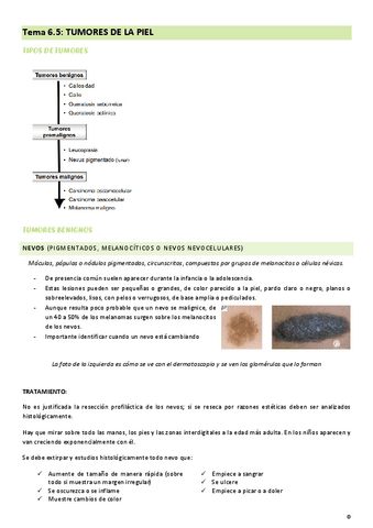 tema-6.5-cuidados-del-adulto-II.pdf