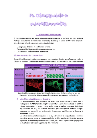 T4-Completo.pdf