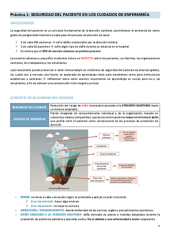 practica-1-cuidados-del-adulto-II.pdf