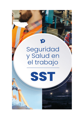 Sist.-de-Gest-de-Seguridad-y-Salud.pdf