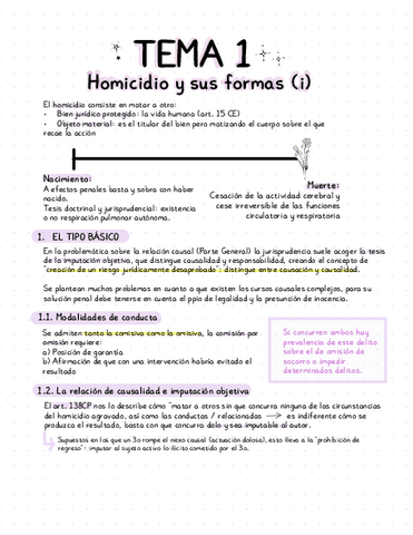 Esquemas-Do-Penal-1r-cuatri.pdf
