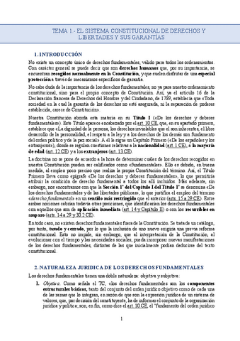 TEMA-1.pdf