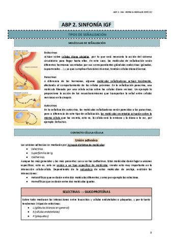 ABP-2.-Sinfonia-IGF.pdf