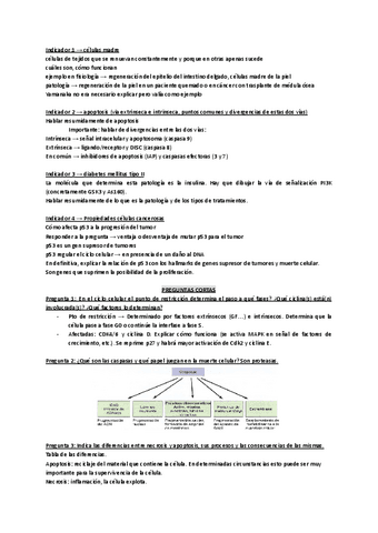 Correccion-Examen-ABP-2.pdf