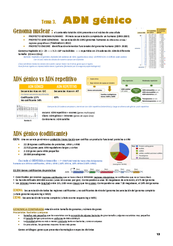 T3-GENETICA.pdf