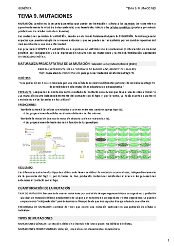 09.-MUTACIONES.pdf