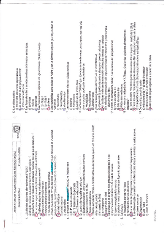 INeuro-2008-1.pdf