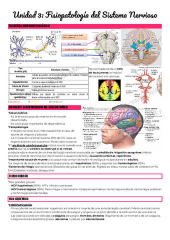 Unidad-3-Fisiopatologia-del-Sistema-Nervioso.pdf