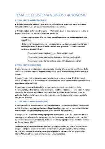 FISIOLOGIA-11.pdf