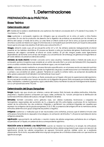 Informe-Practica-Bioquimica-1.pdf