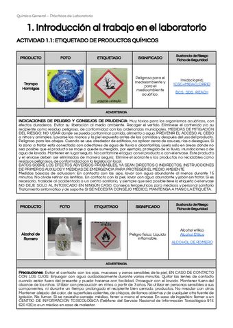 Informe-Practicas123-Quimica.pdf