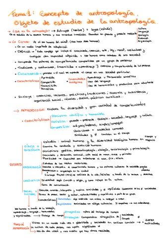 TSG-T1.pdf