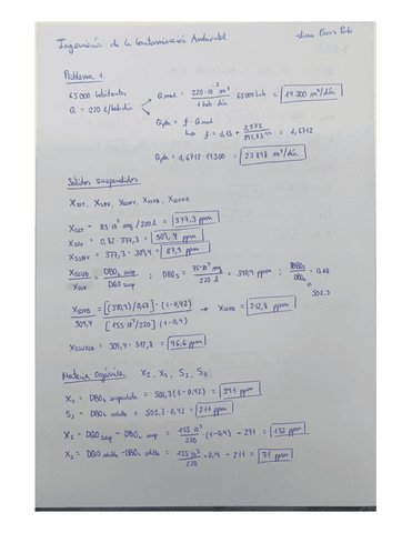 ICA-Bloque-Aguas-PROBLEMAS.pdf