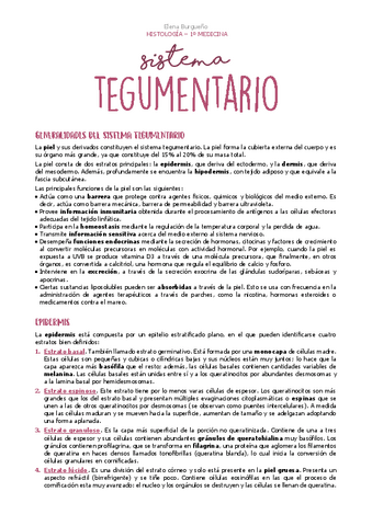SISTEMA-TEGUMENTARIO.pdf